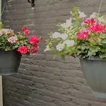 Vakantiehuis Bosbungalow Ruighenrode *