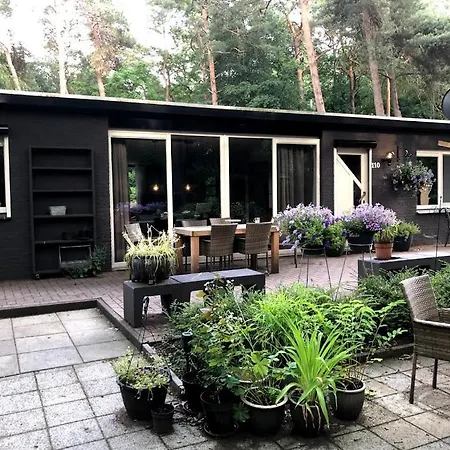 Nyaraló Bosbungalow Ruighenrode *