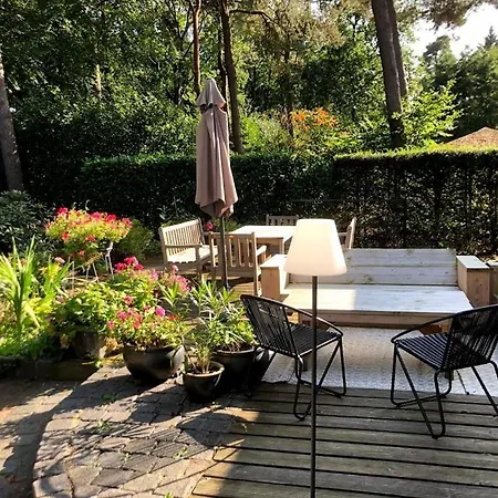 Bosbungalow Ruighenrode Lochem