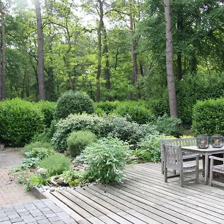 Bosbungalow Ruighenrode