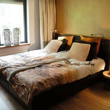 Bosbungalow Ruighenrode Dom wakacyjny Lochem