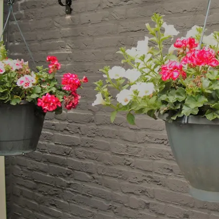 Nyaraló Bosbungalow Ruighenrode *