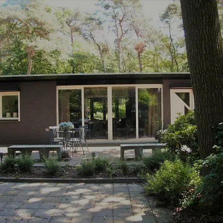 Semesterbostad Bosbungalow Ruighenrode Lochem