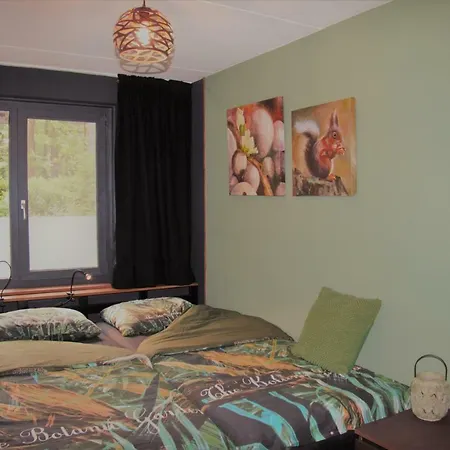 Dom wakacyjny Bosbungalow Ruighenrode *
