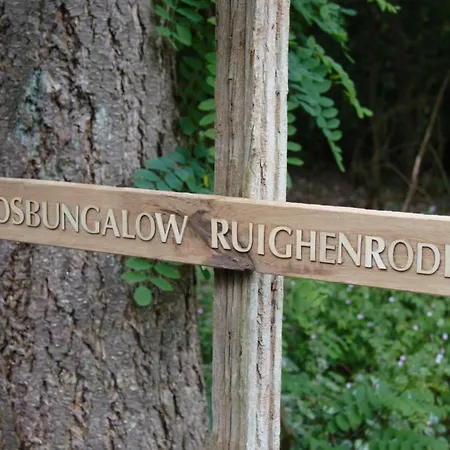 Bosbungalow Ruighenrode