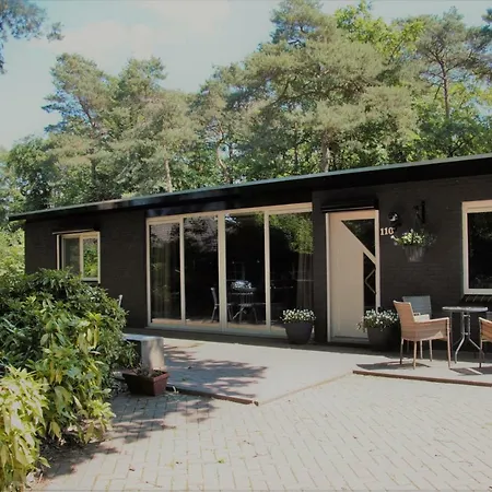 Bosbungalow Ruighenrode Dom wakacyjny Lochem