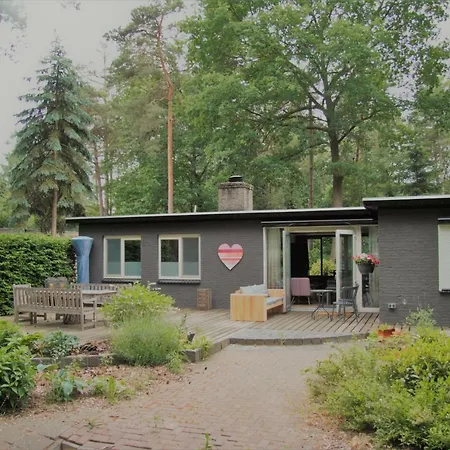 Bosbungalow Ruighenrode Lochem