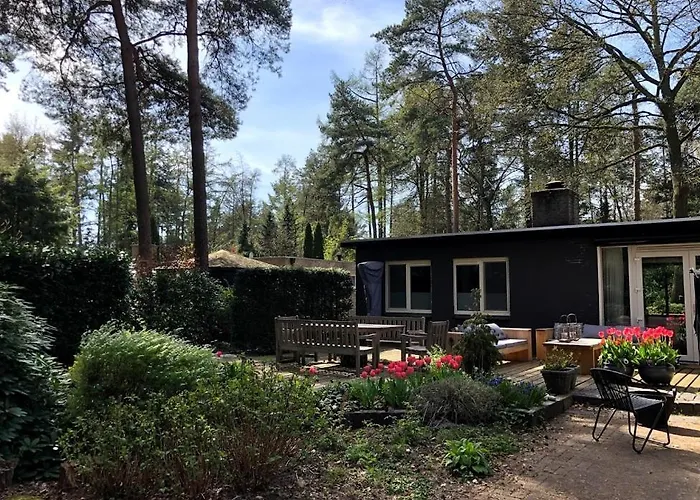 Bosbungalow Ruighenrode *