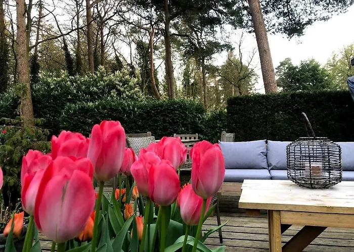 Bosbungalow Ruighenrode