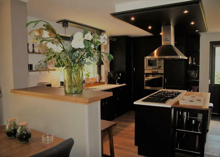 Bosbungalow Ruighenrode Vakantiehuis Lochem