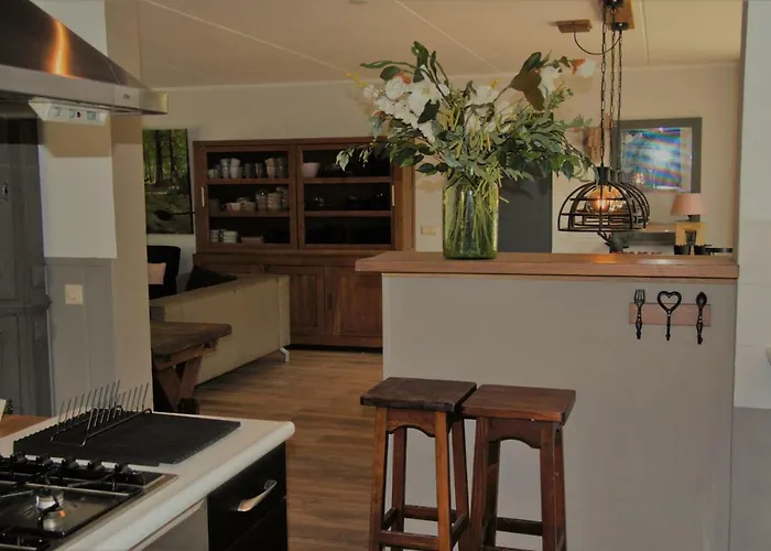 Bosbungalow Ruighenrode Vakantiehuis *