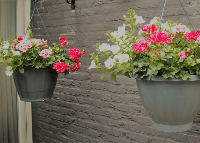 Vakantiehuis Bosbungalow Ruighenrode *