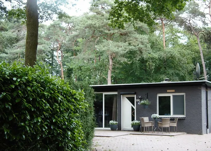 Bosbungalow Ruighenrode Vakantiehuis