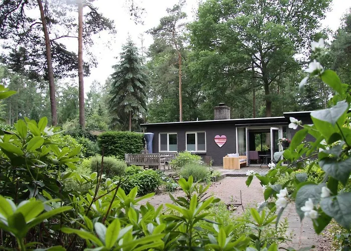 Bosbungalow Ruighenrode Vakantiehuis Lochem