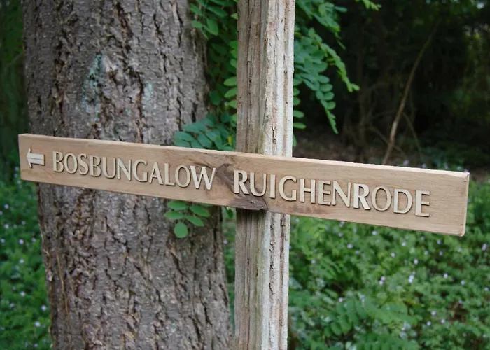 Bosbungalow Ruighenrode