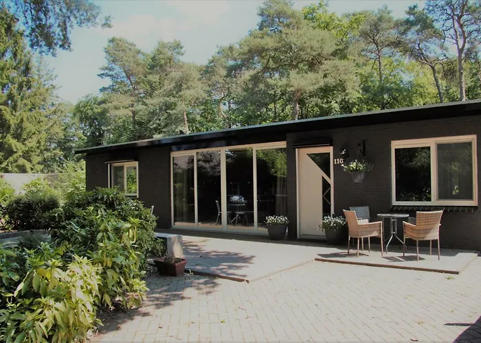 Bosbungalow Ruighenrode Vakantiehuis Lochem