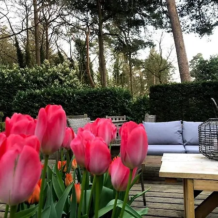 Bosbungalow Ruighenrode