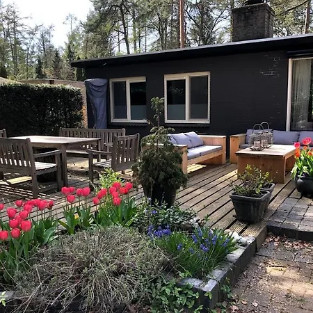 別荘 Bosbungalow Ruighenrode