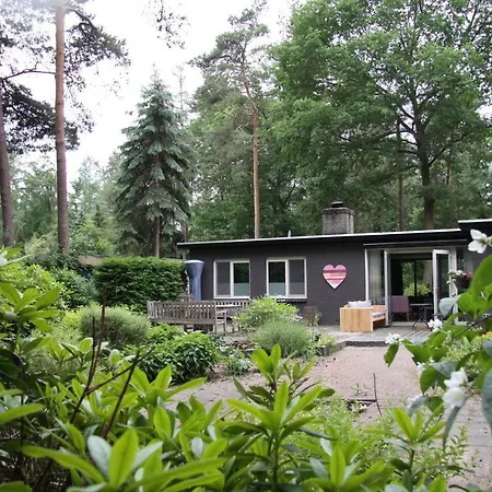 Bosbungalow Ruighenrode 別荘 ロヘム