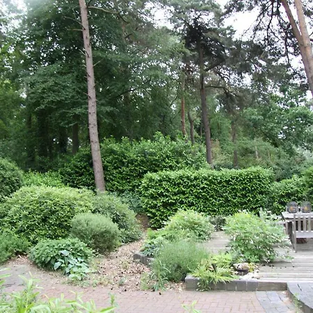 Bosbungalow Ruighenrode *