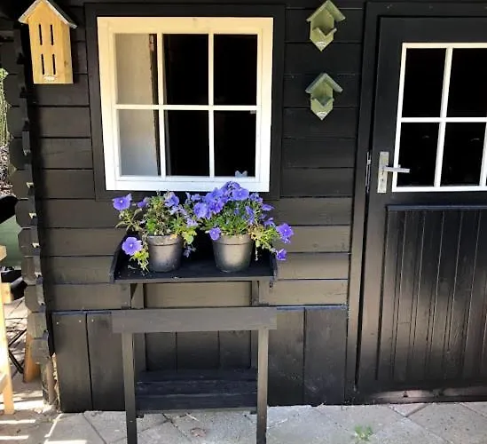 בית נופש Bosbungalow Ruighenrode לוכם