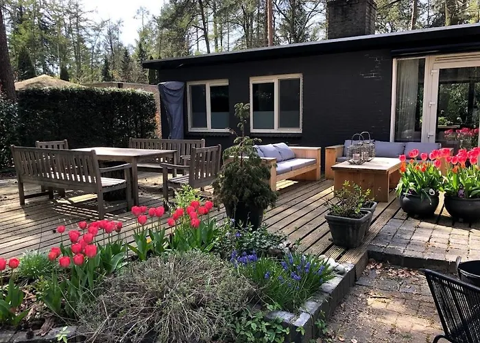 בית נופש Bosbungalow Ruighenrode