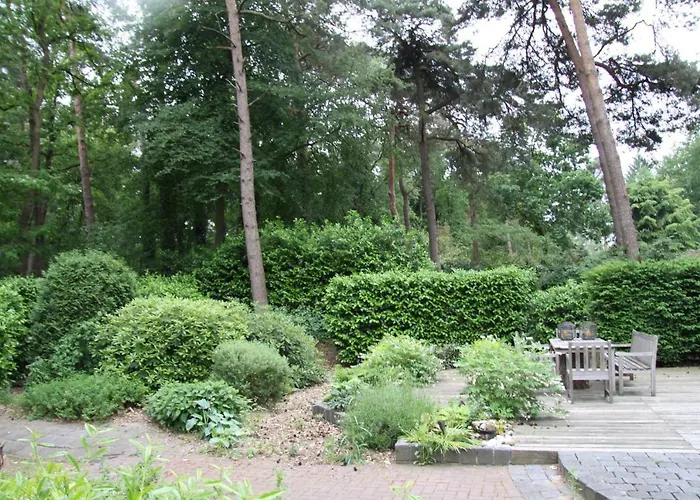 Bosbungalow Ruighenrode *